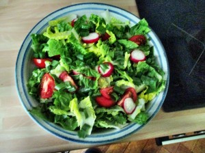 Gemischter Salat-Mais-Forelle -6.7.15   (1)