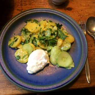 20.3.16 - Kartoffelsalat,pchiertes Ei,Quitten Dessert,vegetarisch (12)
